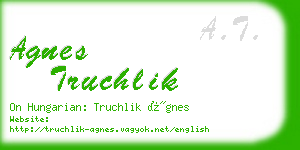 agnes truchlik business card